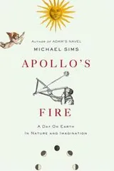 Cover of Apollo's Fire
