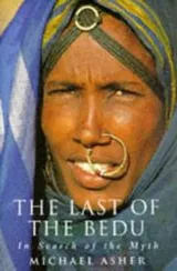 Cover of Last of the Bedu
