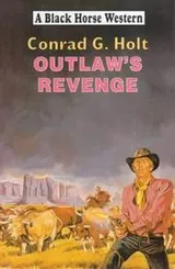Cover of Outlaw's Revenge