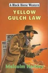 Cover of Yellow Gulch Law