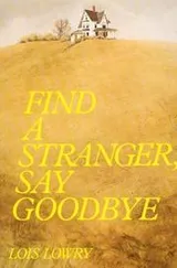 Cover of Find a stranger, say goodbye