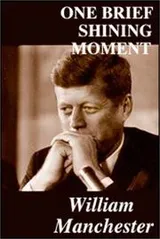 Cover of One Brief Shining Moment