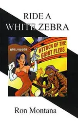 Cover of Ride A White Zebra
