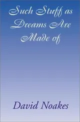 Cover of Such stuff as dreams are made of