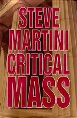 Cover of Critical mass