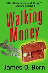 Cover of Walking money