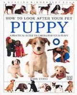 Cover of Puppy (How to Look After Your Pet)