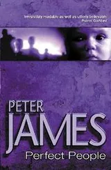 Cover of Perfect People