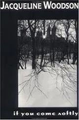 Cover of If You Come Softly