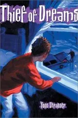 Cover of Thief of dreams