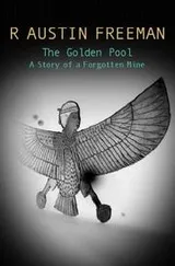 Cover of The Golden Pool