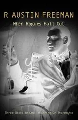 Cover of When rogues fall out