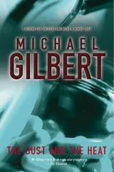 Cover of The dust and the heat