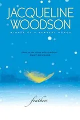 Cover of Feathers