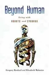 Cover of Beyond Human