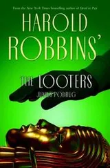 Cover of The looters