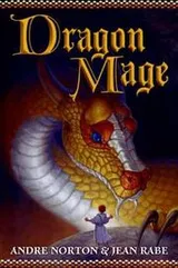 Cover of Dragon Mage