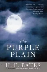 Cover of The Purple Plain