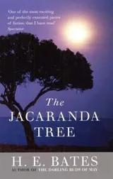 Cover of The Jacaranda Tree