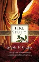 Cover of Fire Study (Study, Book 3)