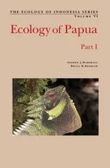 Cover of The Ecology of Papua