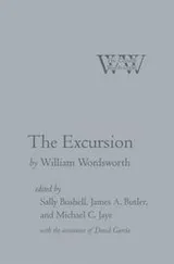 Cover of The Excursion (Cornell Wordsworth)
