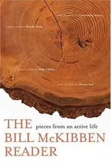 Cover of The Bill Mckibben reader