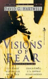 Cover of Visions of Fear (Foundations of Fear, No 3)