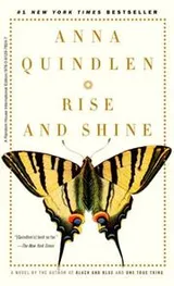 Cover of Rise and Shine