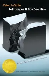 Cover of Tell Borges If You See Him