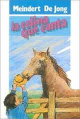 Cover of Colina Que Canta/Singing Hill