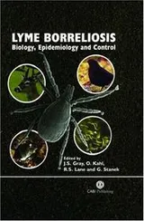 Cover of Lyme borreliosis