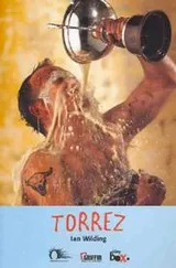 Cover of Torrez