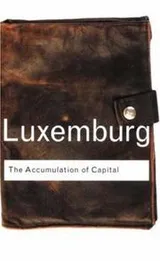 Cover of The accumulation of capital