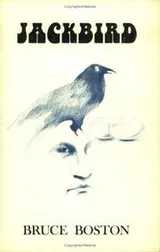 Cover of Jackbird