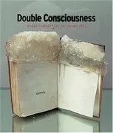 Cover of Double consciousness