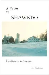 Cover of A Farm at Shawndo
