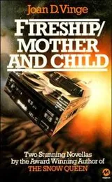 Cover of Fireship