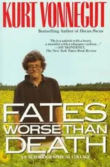 Cover of Fates Worse than Death