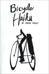 Cover of Bicycle Haiku