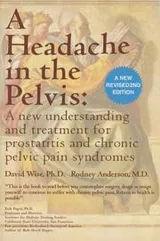 Cover of A Headache in the Pelvis