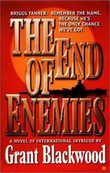 Cover of The end of enemies