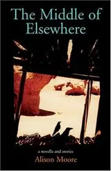 Cover of The Middle of Elsewhere
