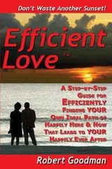 Cover of Efficient Love