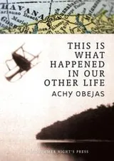 Cover of This Is What Happened in Our Other Life