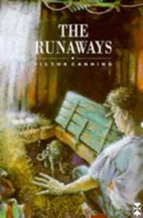 Cover of The Runaways