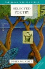 Cover of Selected Poetry
