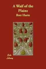 Cover of A waif of the plains