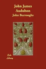 Cover of John James Audubon