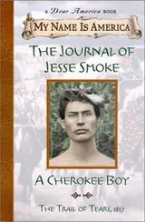 Cover of The journal of Jesse Smoke